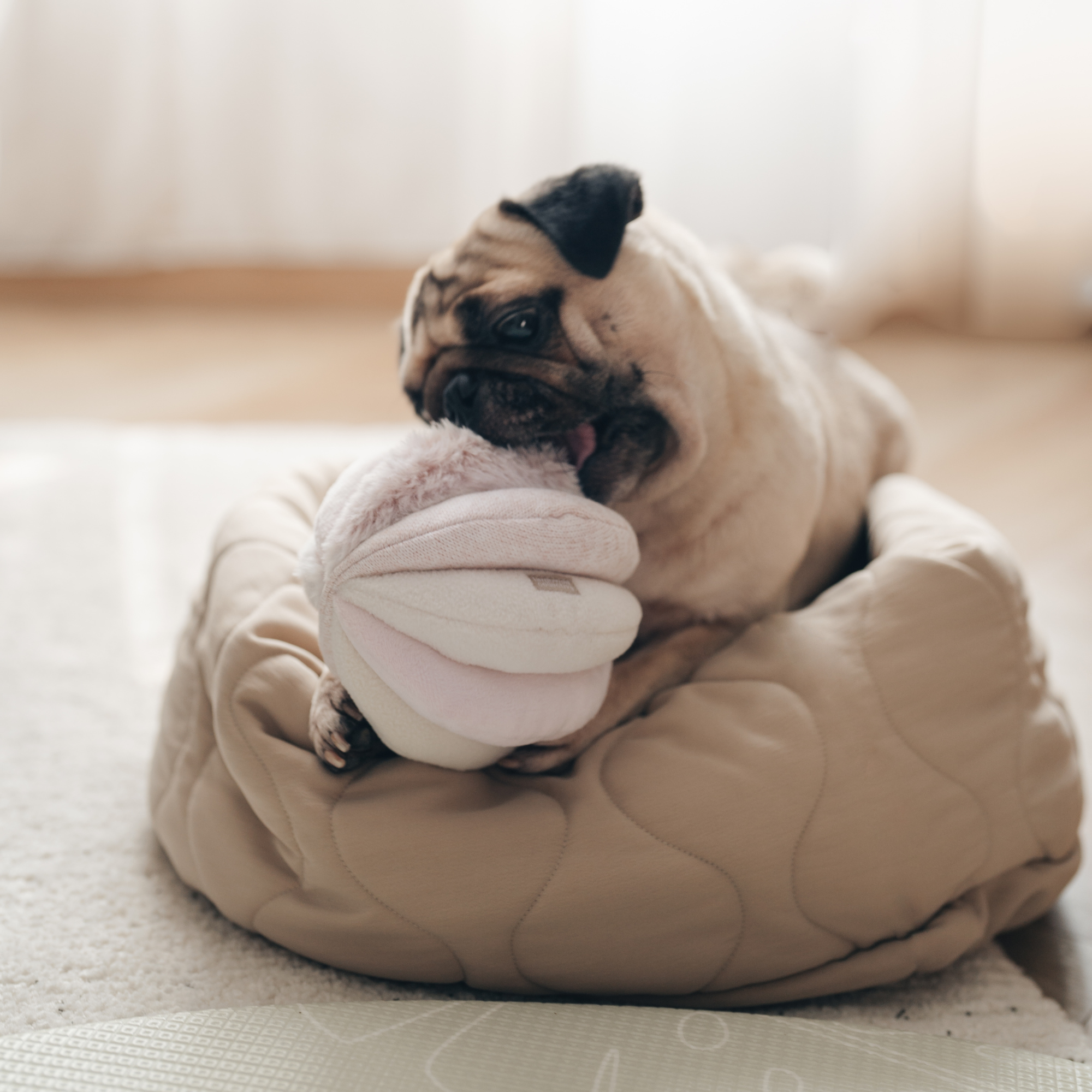 TOTO // GIOCO DI ARRICCHIMENTO PER CANI // Palla Snuffle: ROSA