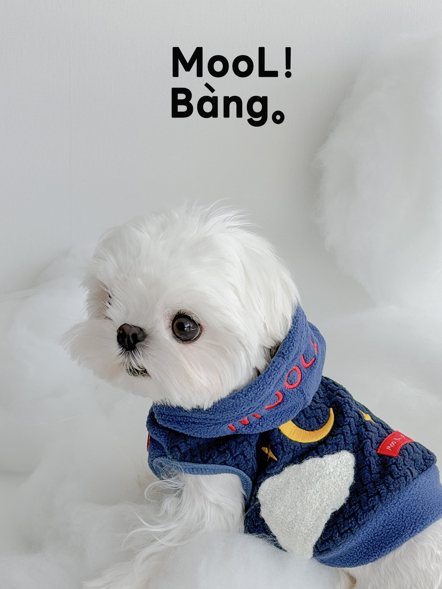 Felpa per Cani “Night Sky”