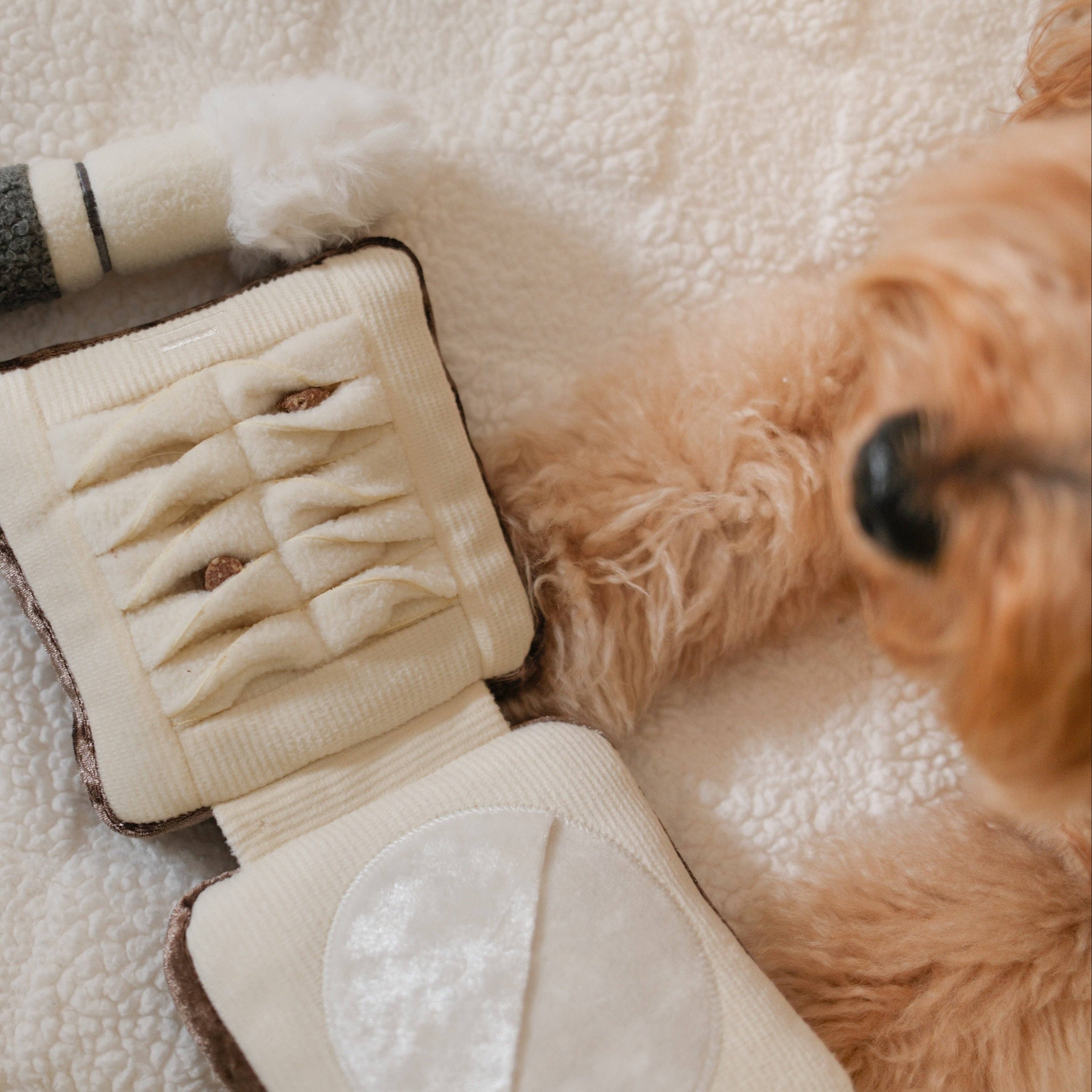 CIPRIA FISSANTE E PENNELLO // GIOCO DI ARRICCHIMENTO PER CANI // GIOCATTOLO SNUFFLE