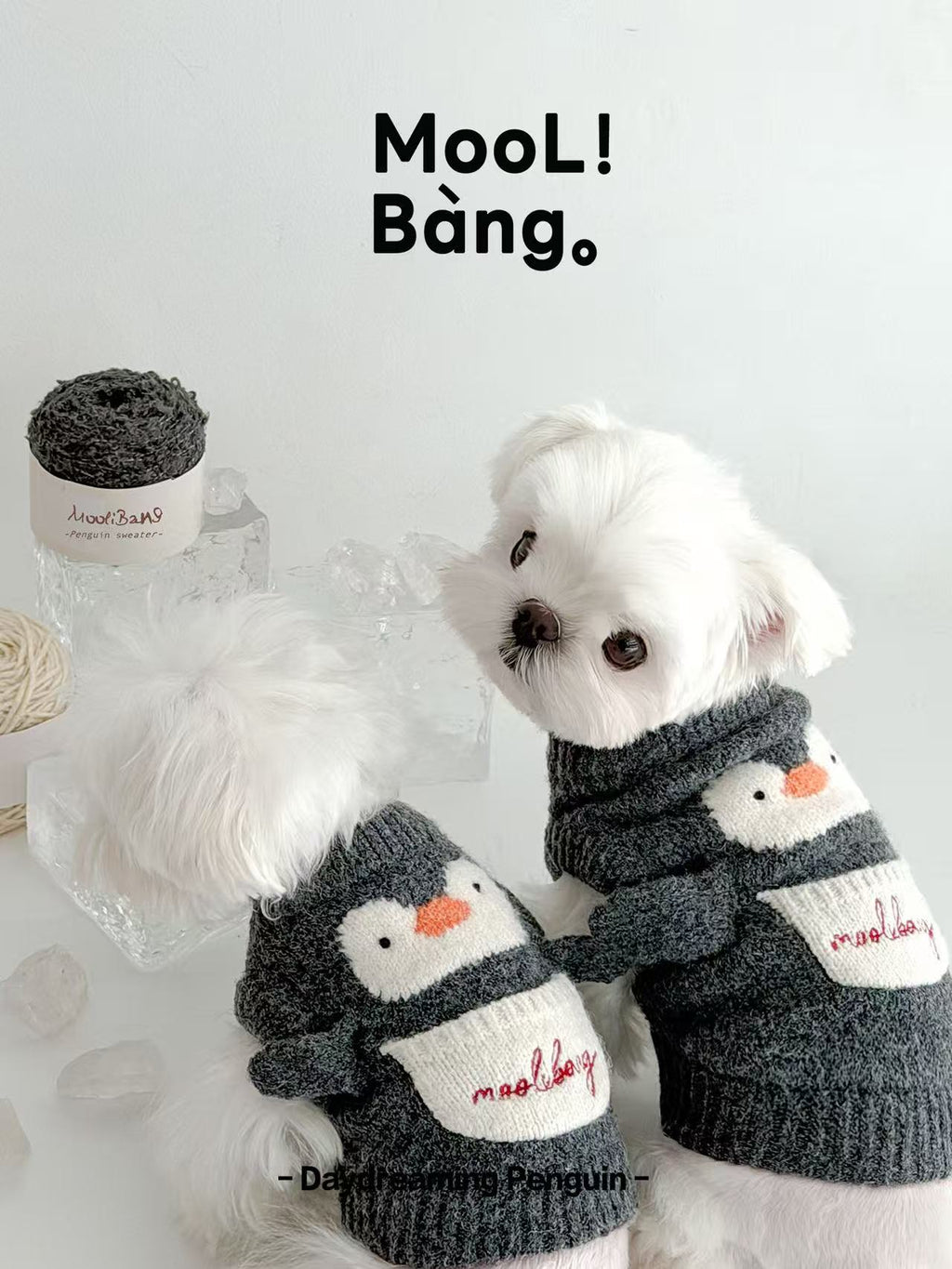 Maglioncino per Cani “Daydreaming Penguin”