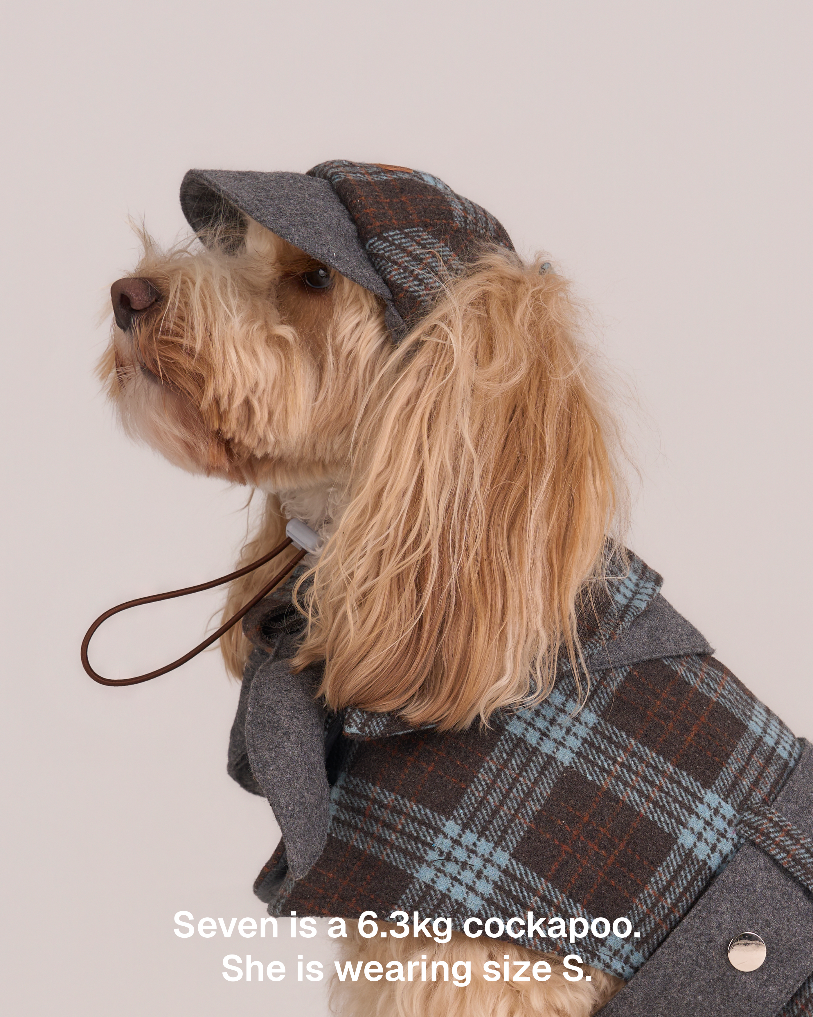Mantella per Cani Sherlock