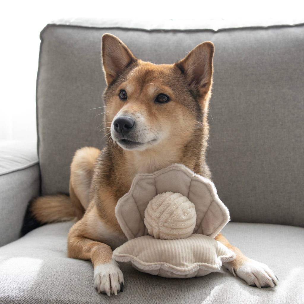 OYSTER POP - Gioco arricchente per cani