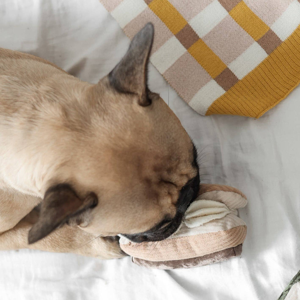 ECLAIR // GIOCO DI ARRICCHIMENTO PER CANI // GIOCO SNUFFLE