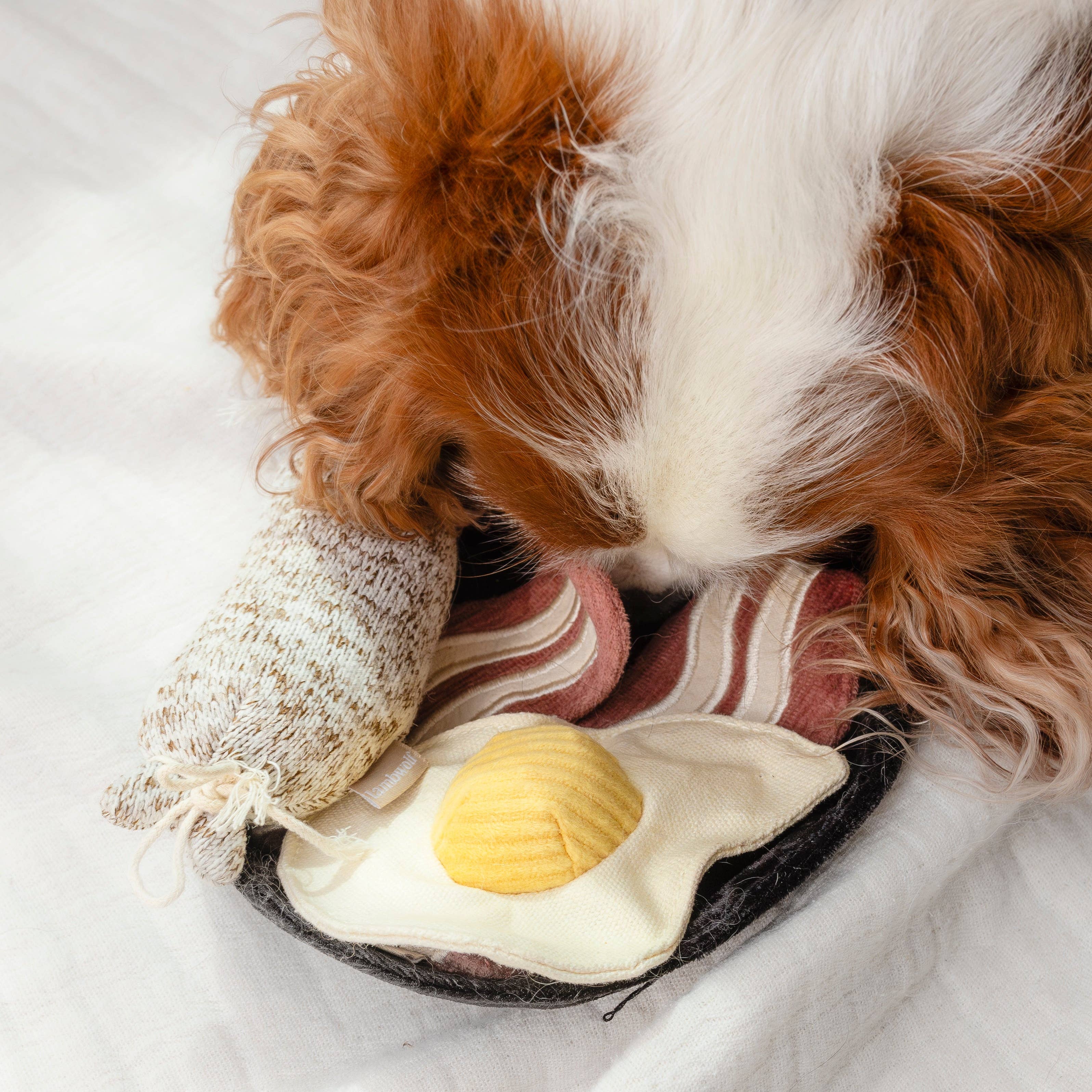 Bfast Set //GIOCATTOLO PER CANI ARRICCHENTE
