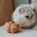 SET VEGETARIANO PER GATTINI