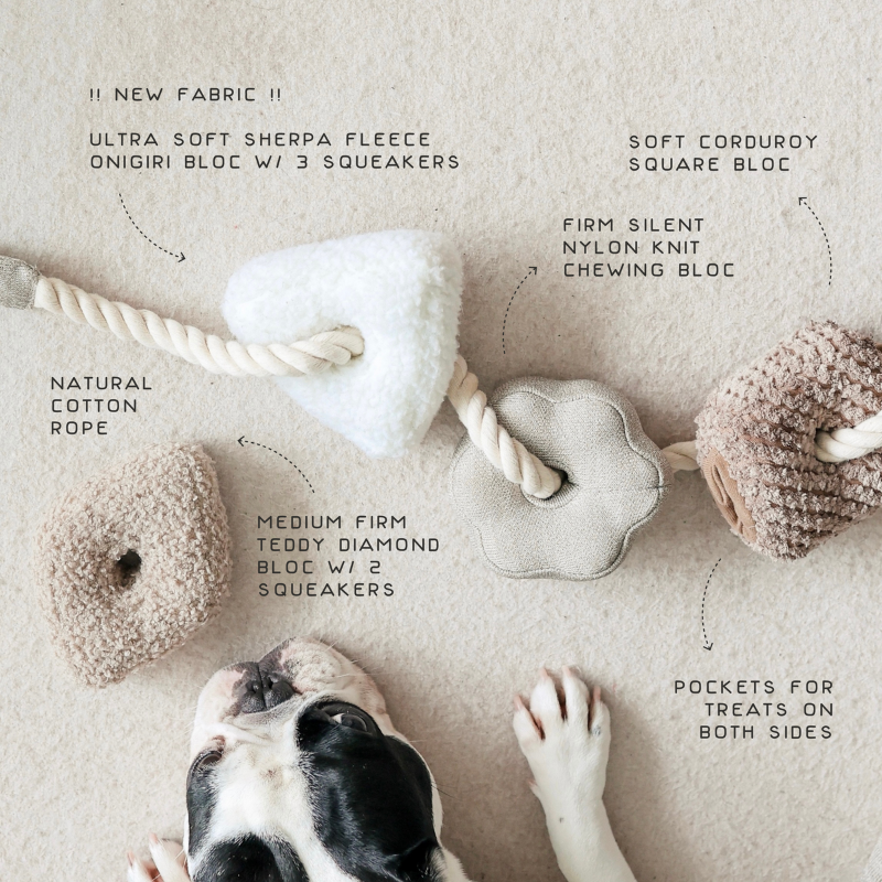 Gioco educativo per cani BLOCS – Lambwolf Collective