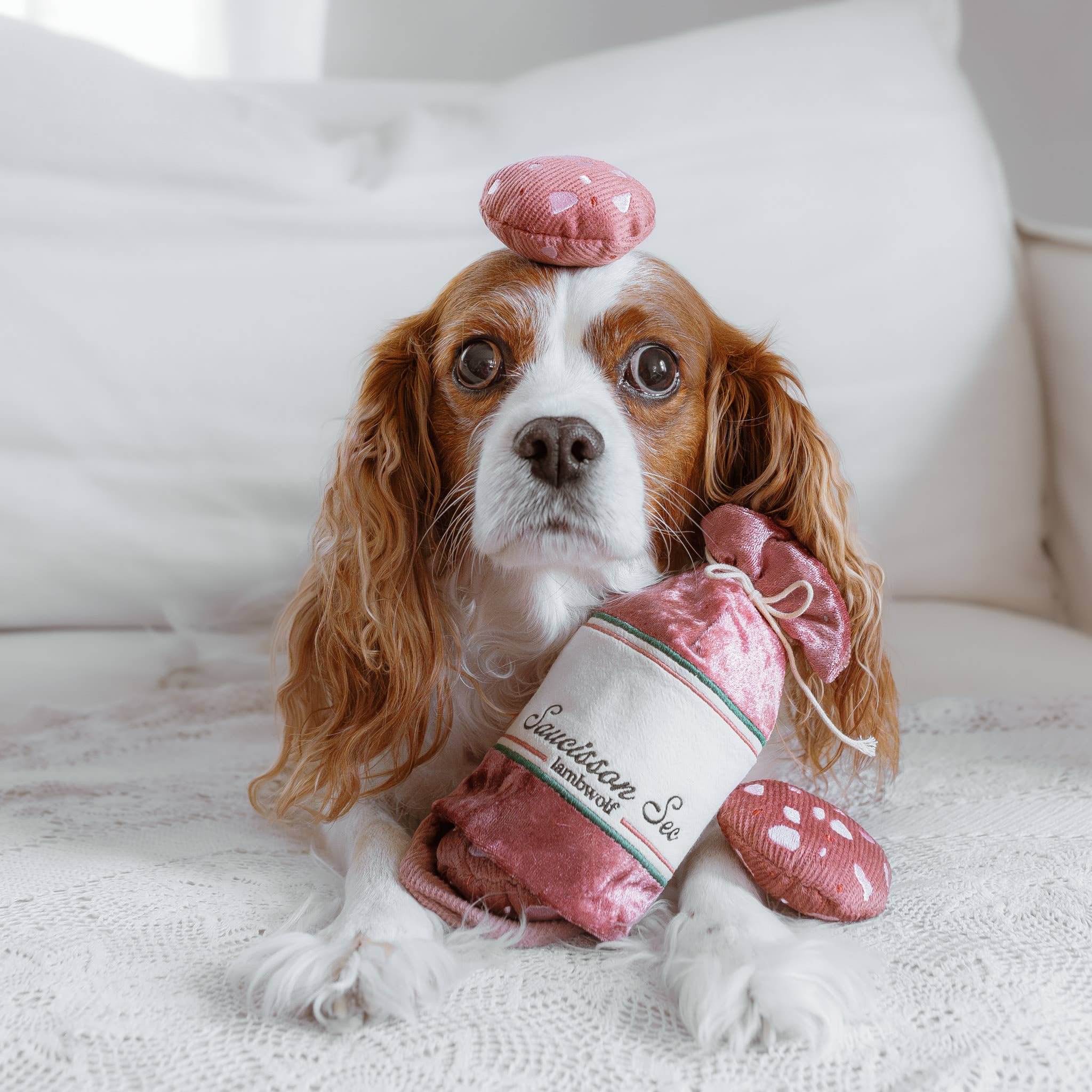 SAUCISSON SEC//GIOCATTOLO PER CANI ARRICCHITO