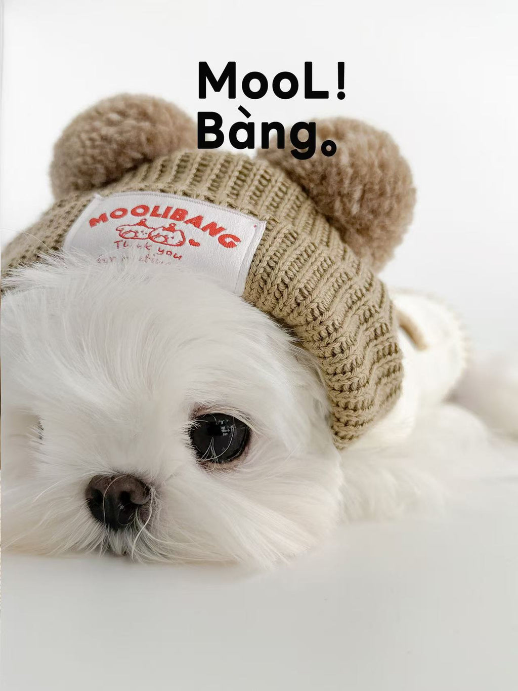 Felpa con Cappuccio per Cani “Rilakkuma Bear”