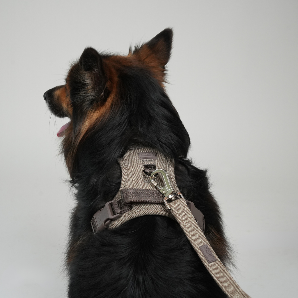 Guinzaglio per cane Elma | Mocca: Grande