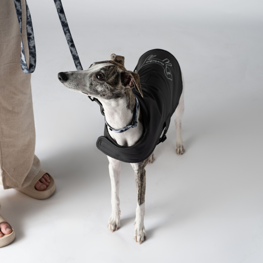 Impermeabile per cani nero riciclato