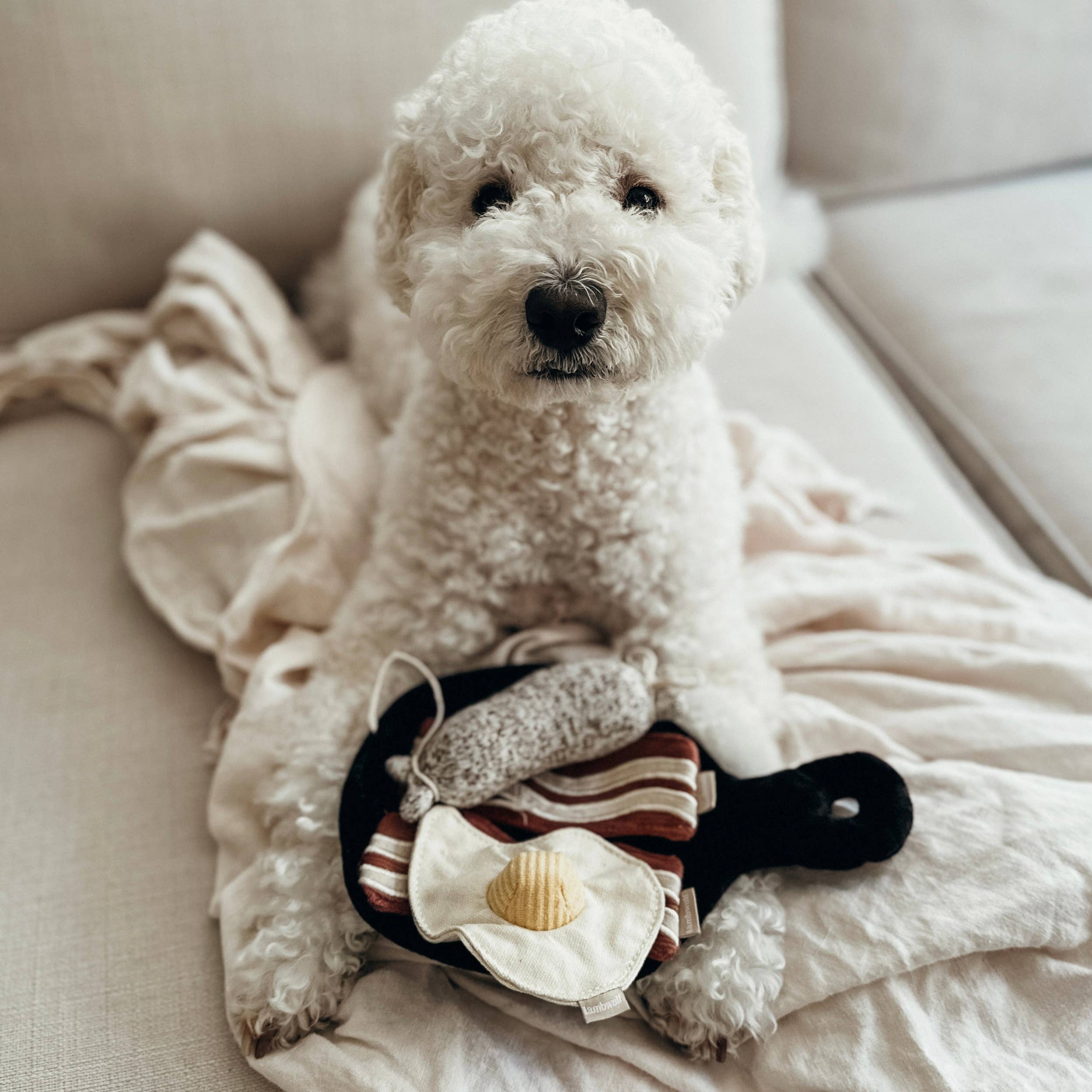 Bfast Set //GIOCATTOLO PER CANI ARRICCHENTE