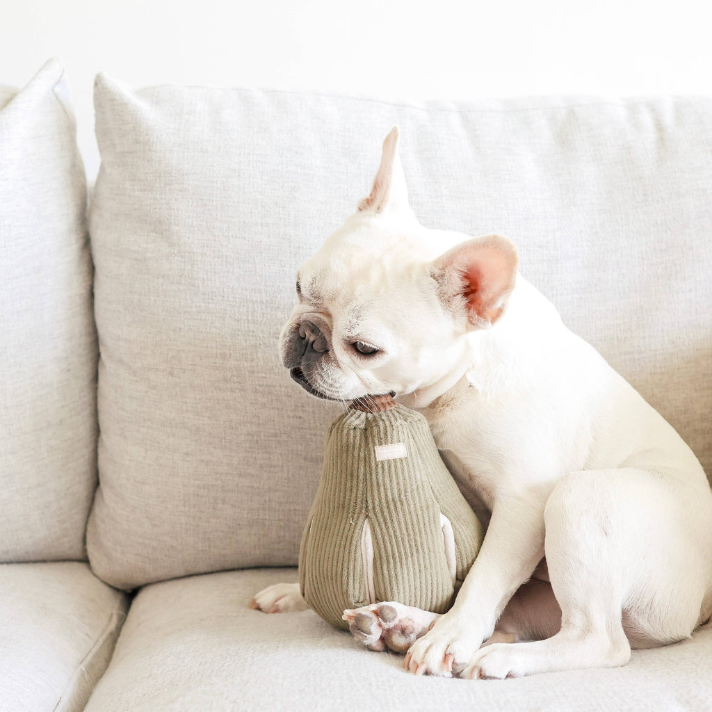 Gioco per cani BUTTERNUT con arricchimento: L