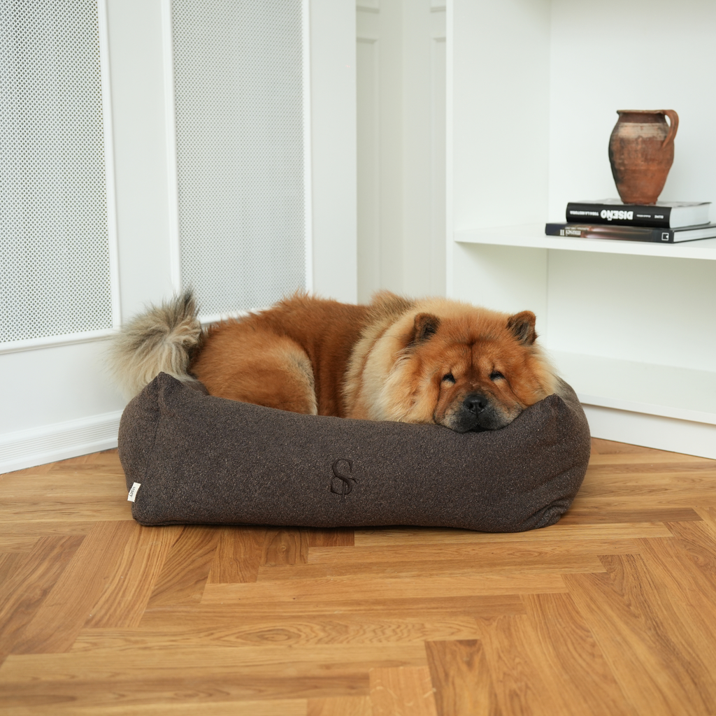 Cuccia Vera per cani, bouclé castagna