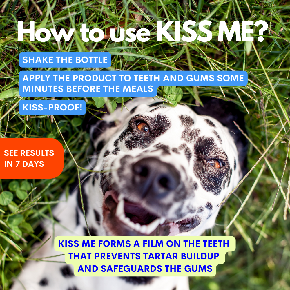 Kiss Me - Spray dentale naturale edibile contro l'alito cattivo per cani