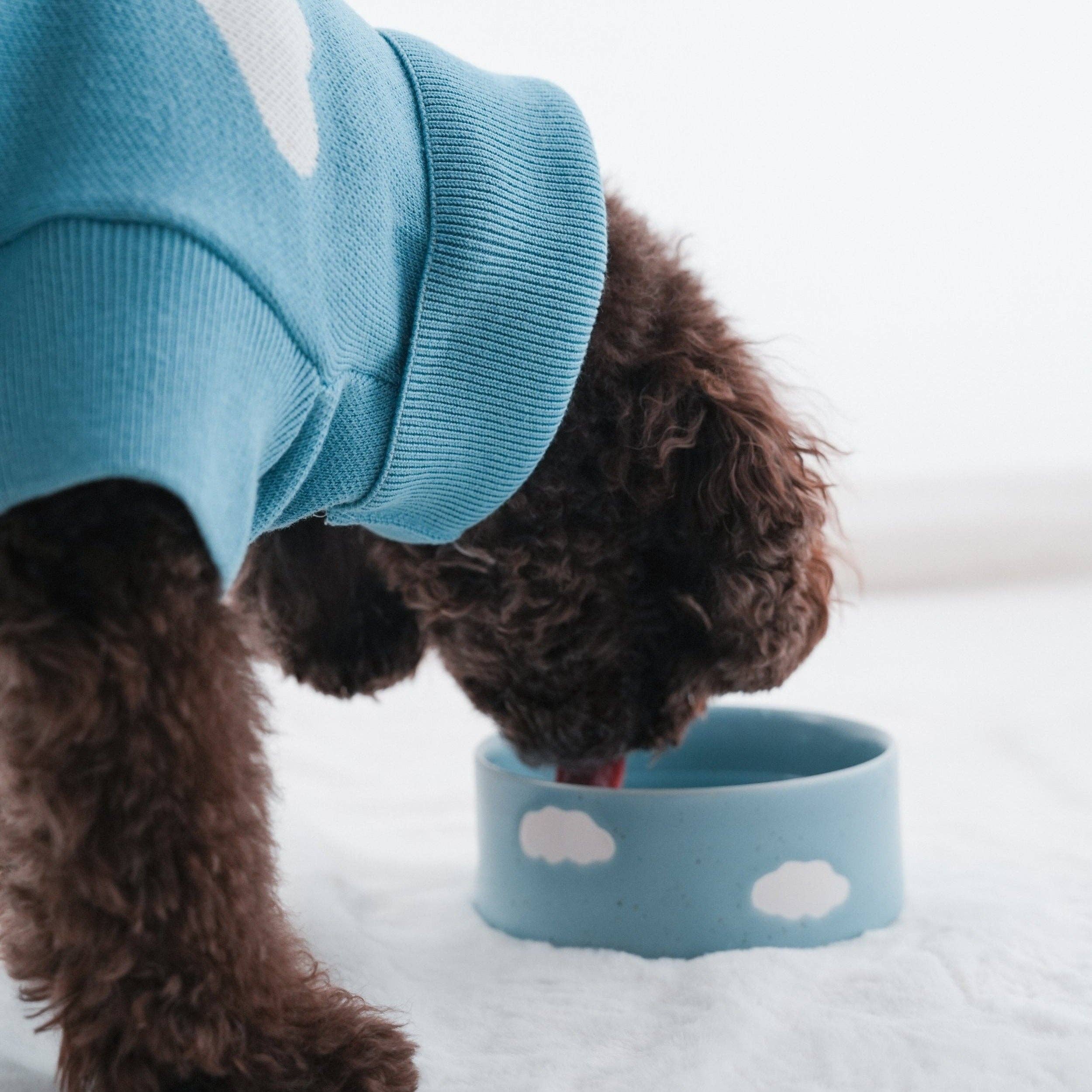 Set of 2 Cloud Pet Bowls 14 cm