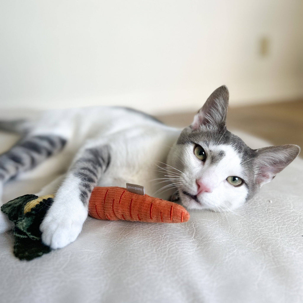 KITTY BABY CAROTE