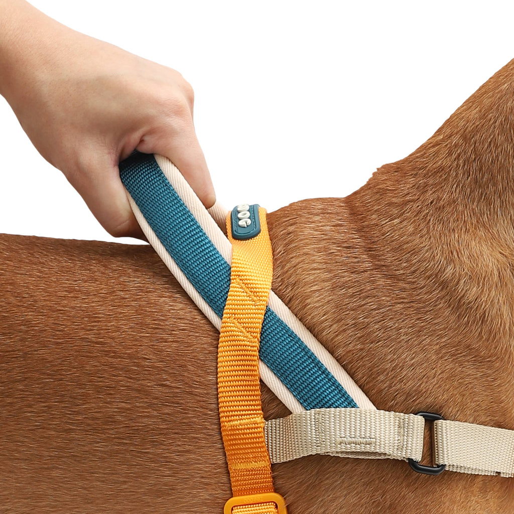 Pettorina Norvegese Softer-Walk Voyage
