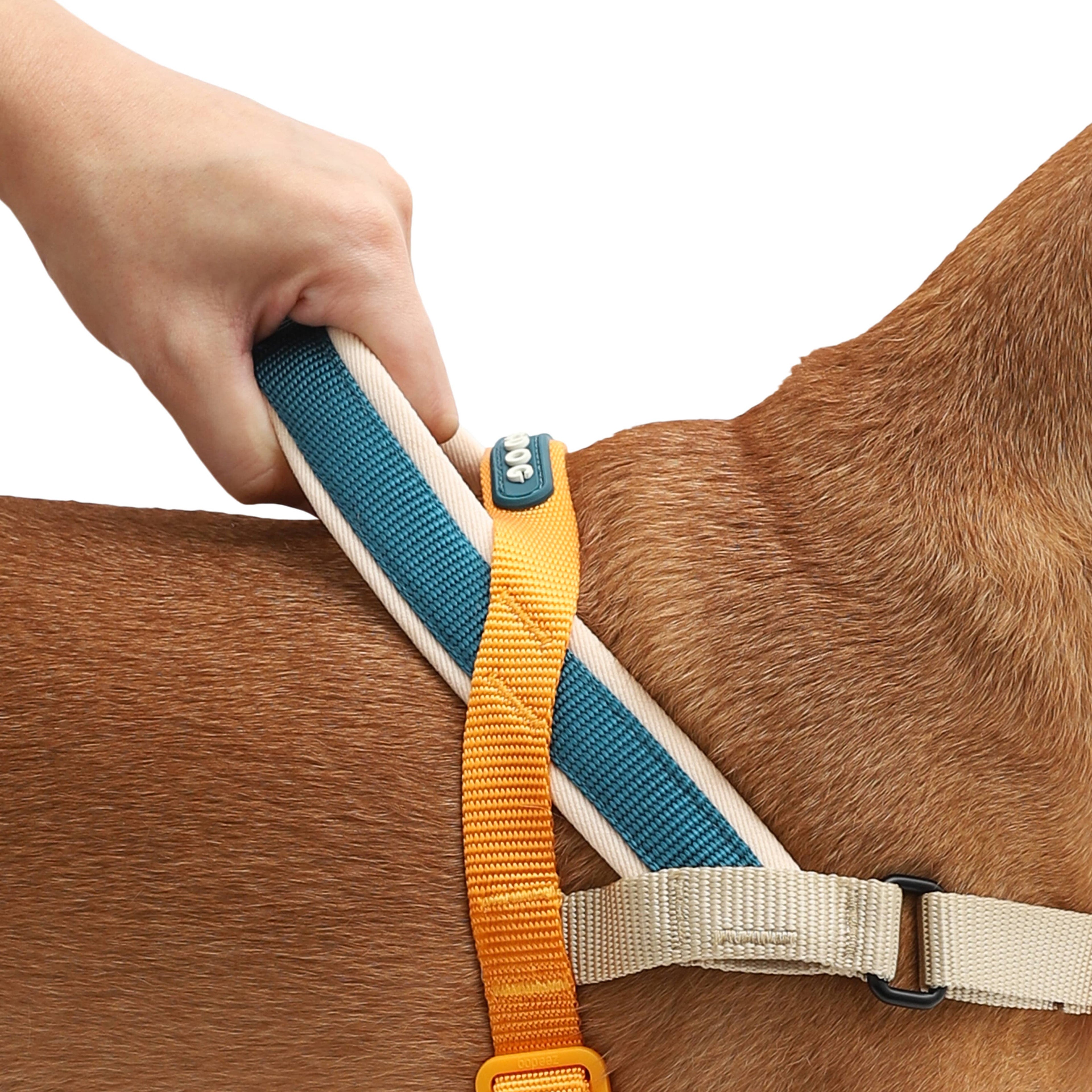 Pettorina Norvegese Softer-Walk Voyage