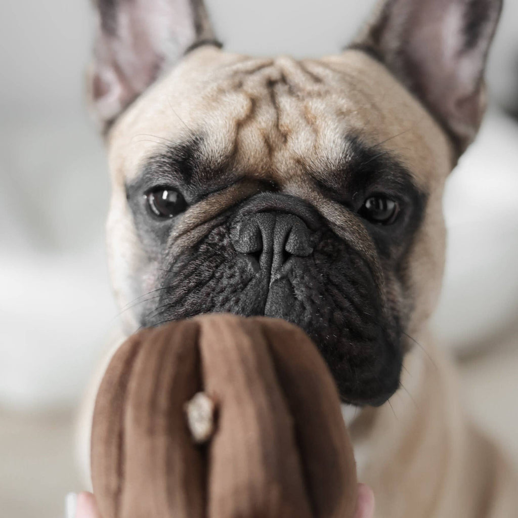 CANELE // GIOCO DI ARRICCHIMENTO PER CANI // Con squeaker + funzione snuffle