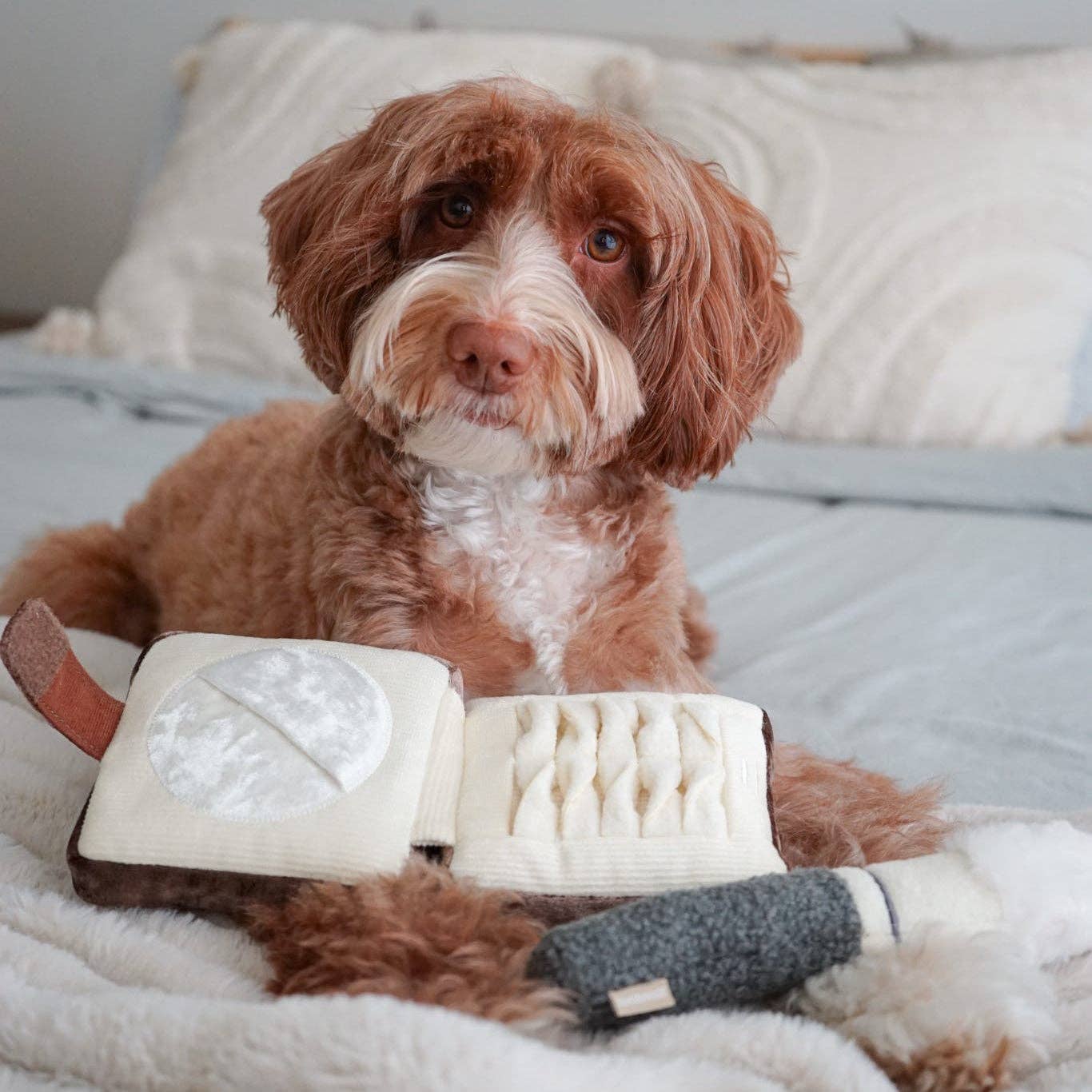 CIPRIA FISSANTE E PENNELLO // GIOCO DI ARRICCHIMENTO PER CANI // GIOCATTOLO SNUFFLE