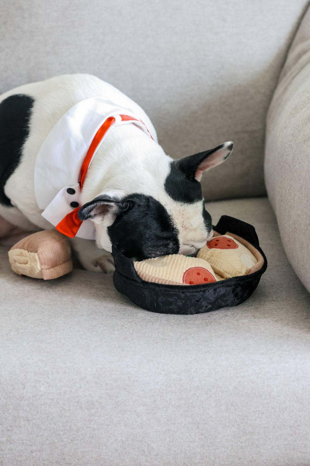 Gioco per cani 'Deep Dish Pizza' per arricchimento