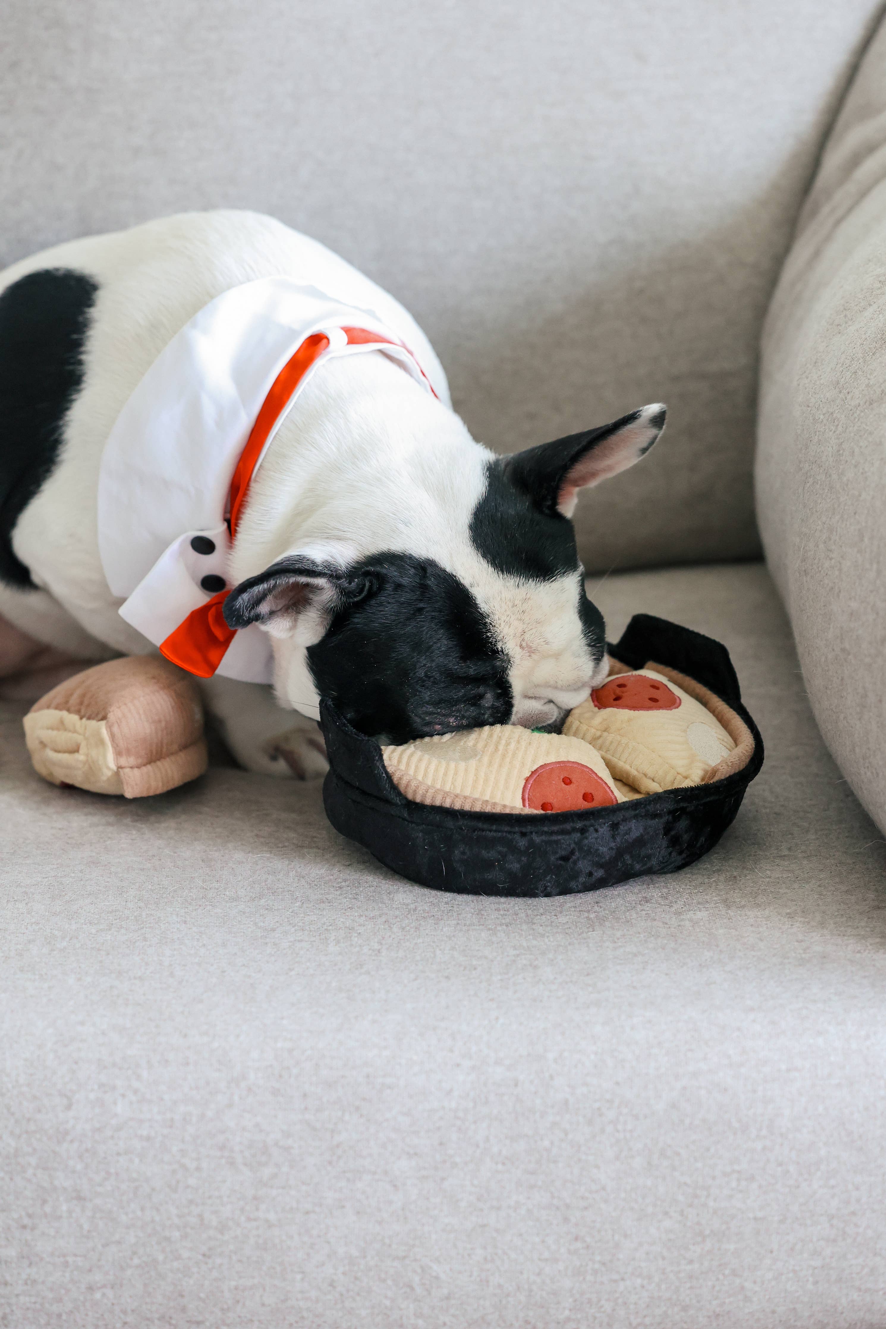 Gioco per cani 'Deep Dish Pizza' per arricchimento