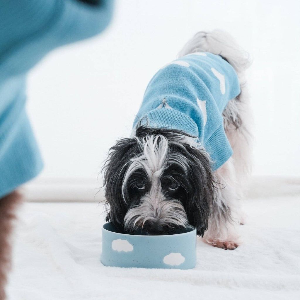 Set of 2 Cloud Pet Bowls 14 cm