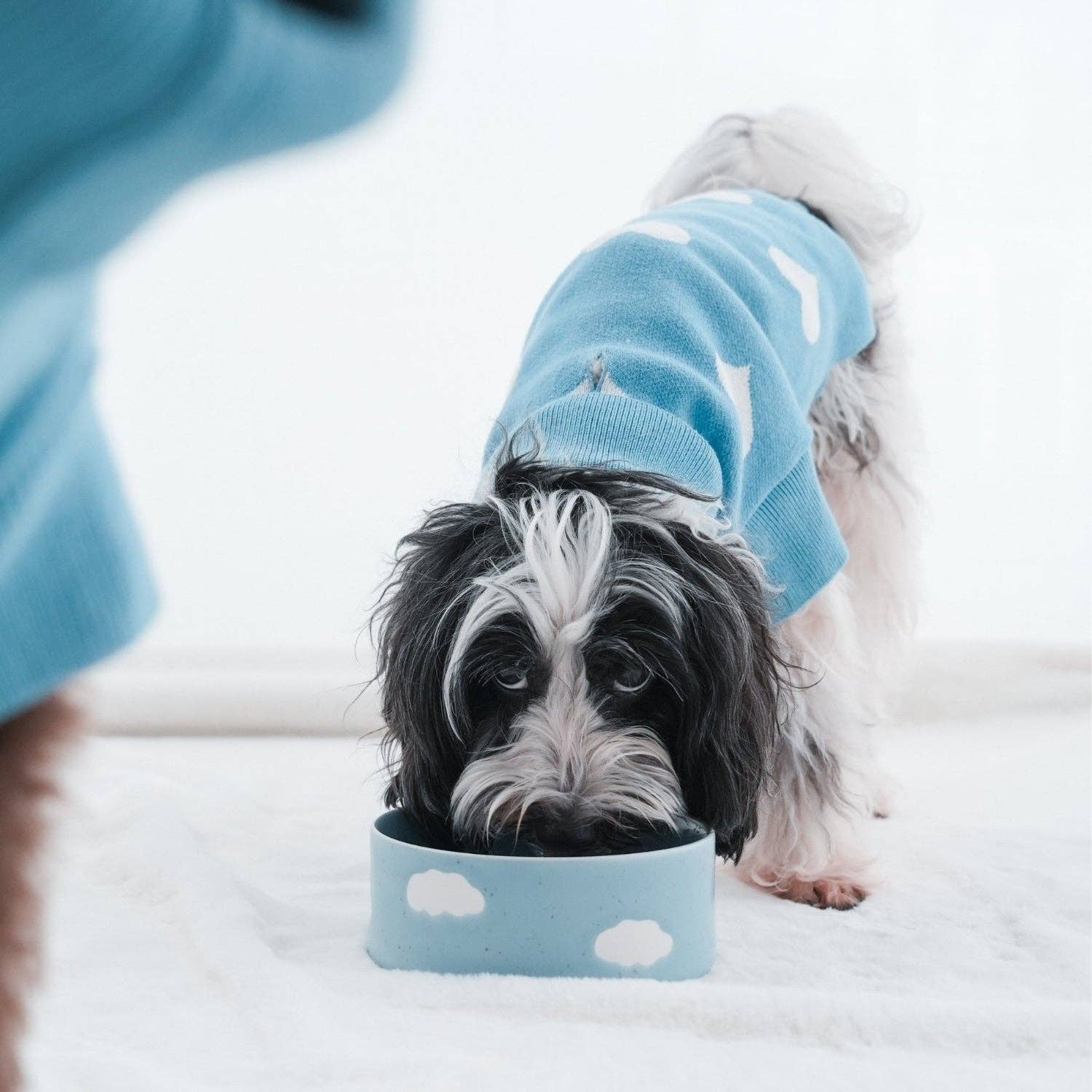 Set of 2 Cloud Pet Bowls 14 cm