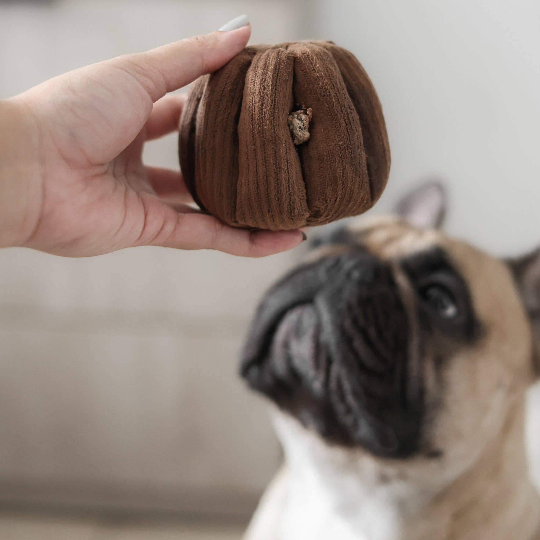 CANELE // GIOCO DI ARRICCHIMENTO PER CANI // Con squeaker + funzione snuffle
