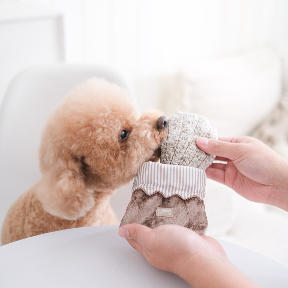 Gioco di arricchimento per cani di piccola taglia 2-in-1 – Lambwolf Collective
