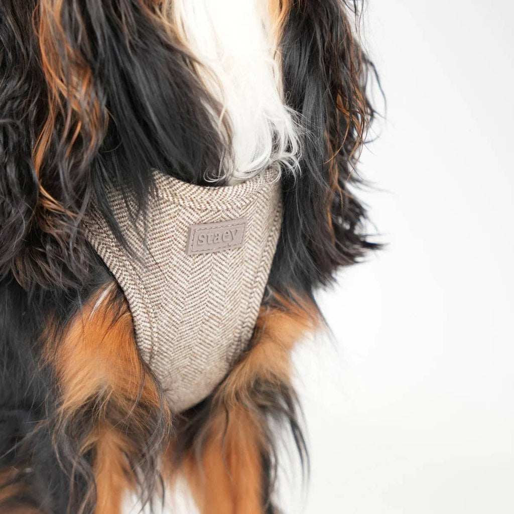 Imbracatura Step-In per Cani Saga | Mocca: XL