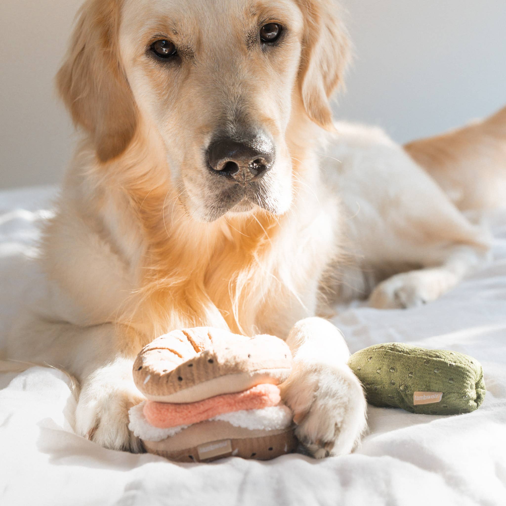 Gioco per cani Kit Bagel e Cetriolo Lambwolf Collective