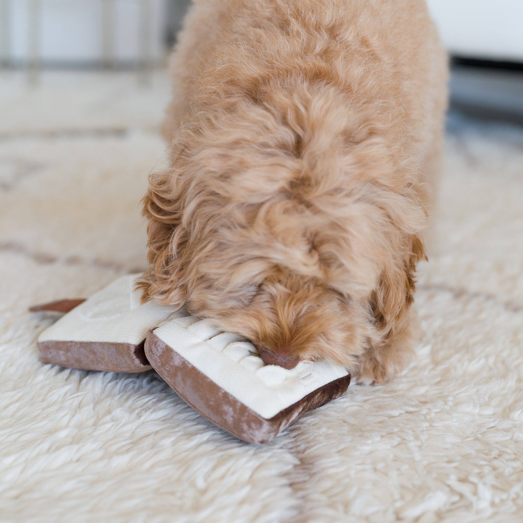 CIPRIA FISSANTE E PENNELLO // GIOCO DI ARRICCHIMENTO PER CANI // GIOCATTOLO SNUFFLE