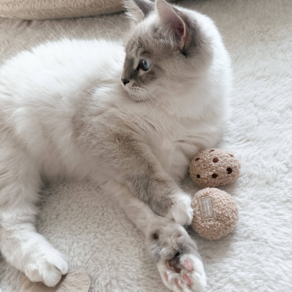 ORA DEL TÈ DEL GATTINO