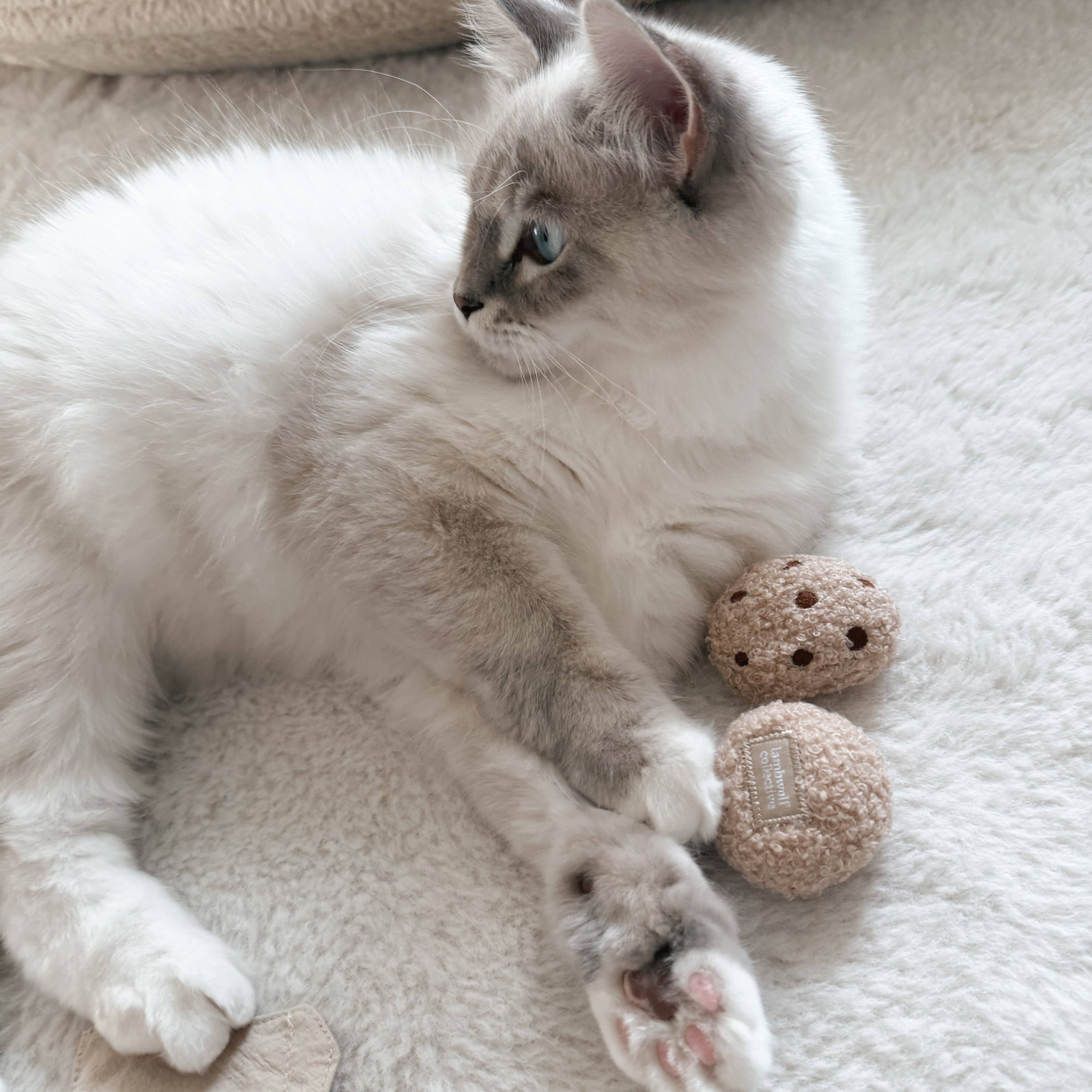 ORA DEL TÈ DEL GATTINO