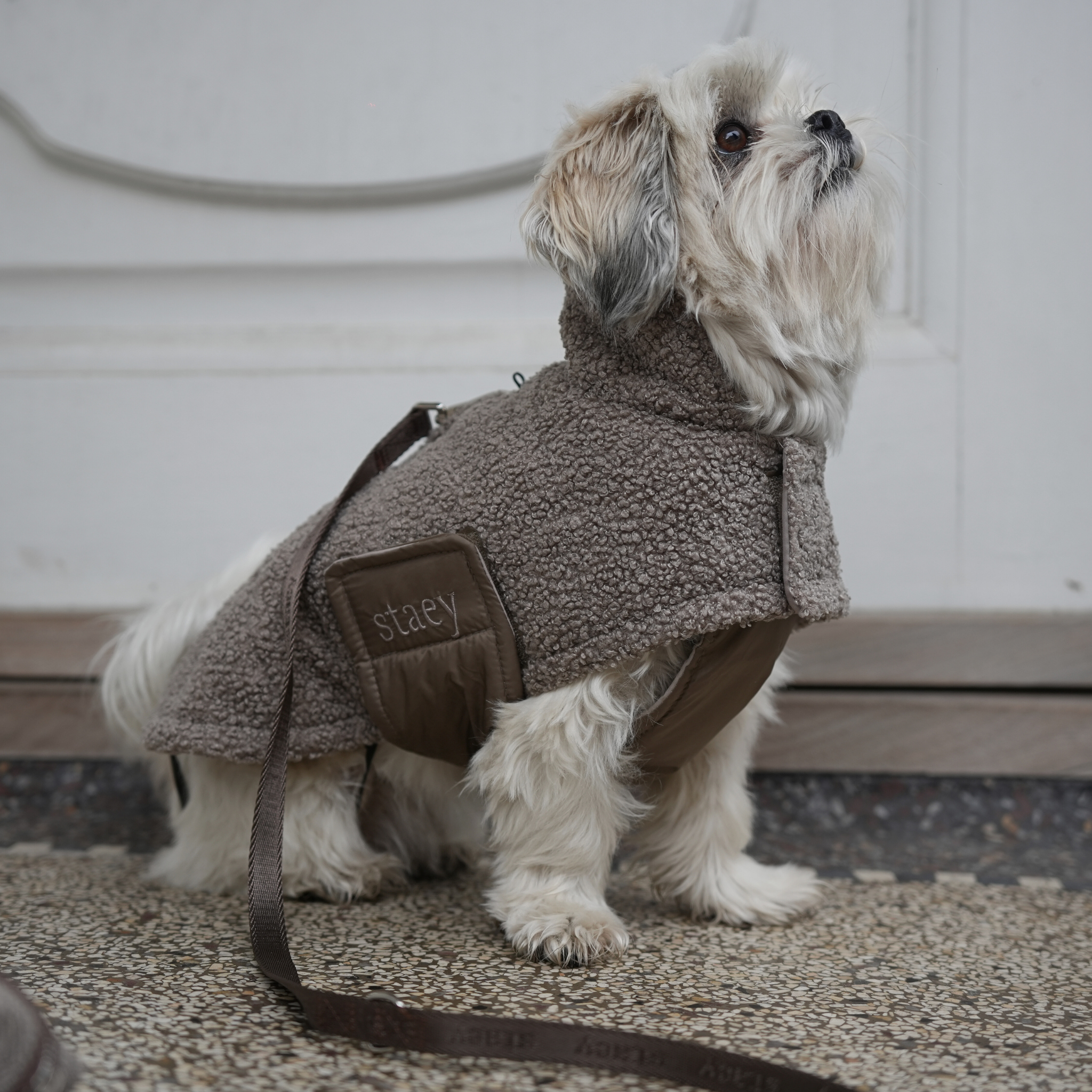 Cappotto per cane Teddy | Taupe: XL