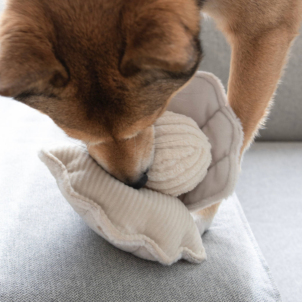 OYSTER POP - Gioco arricchente per cani