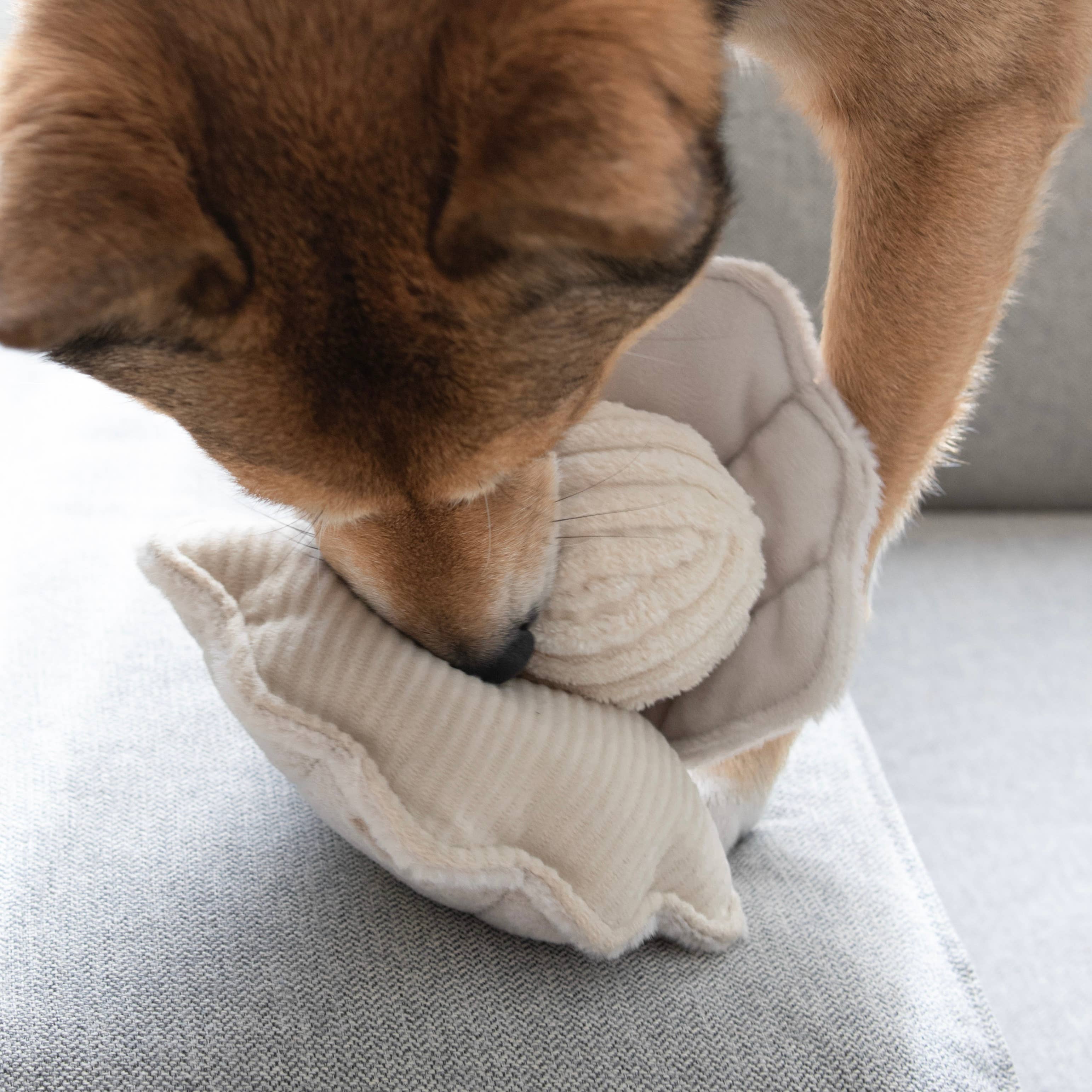 OYSTER POP - Gioco arricchente per cani