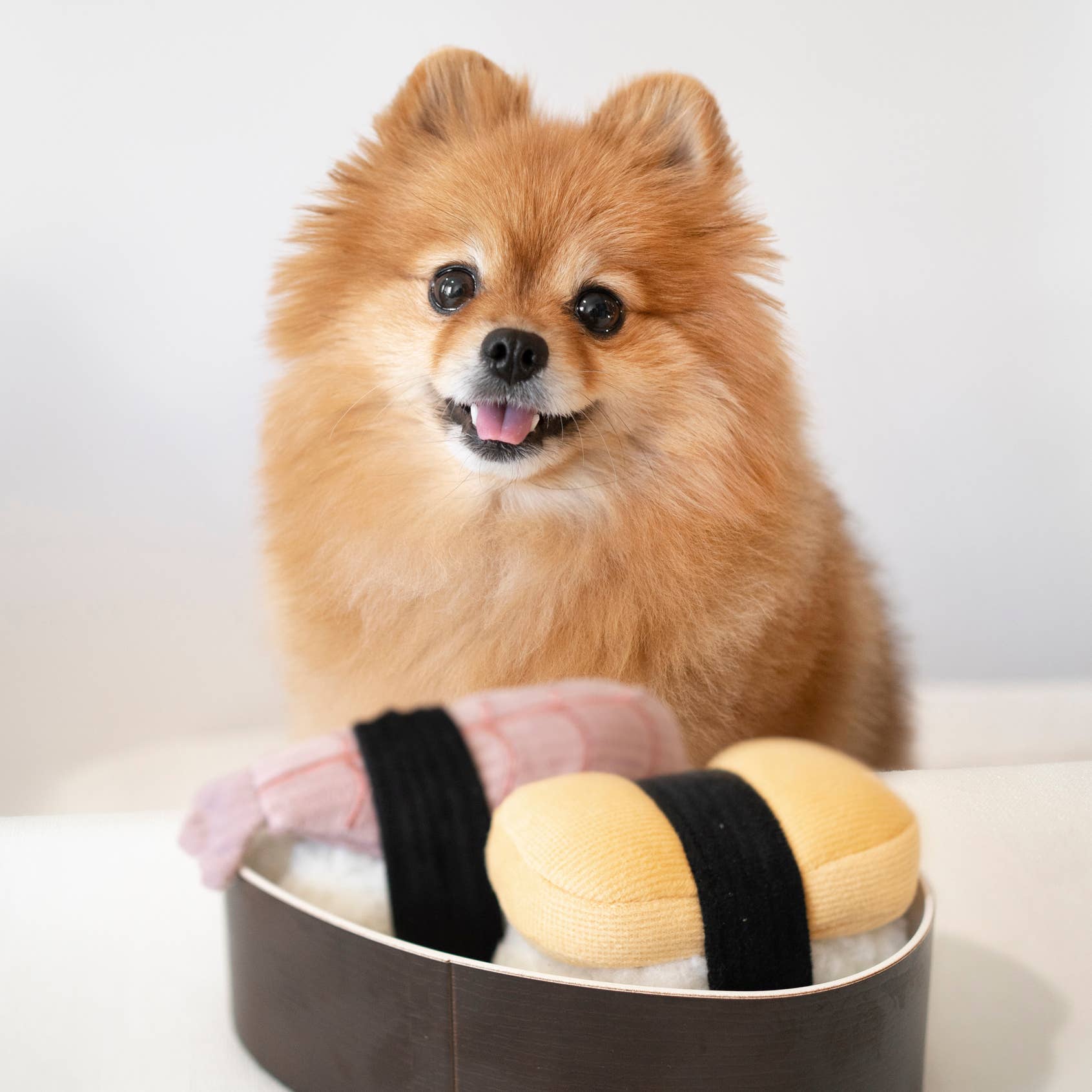 SUSHI // Giocattolo di arricchimento per cani // Annusare + Squittio