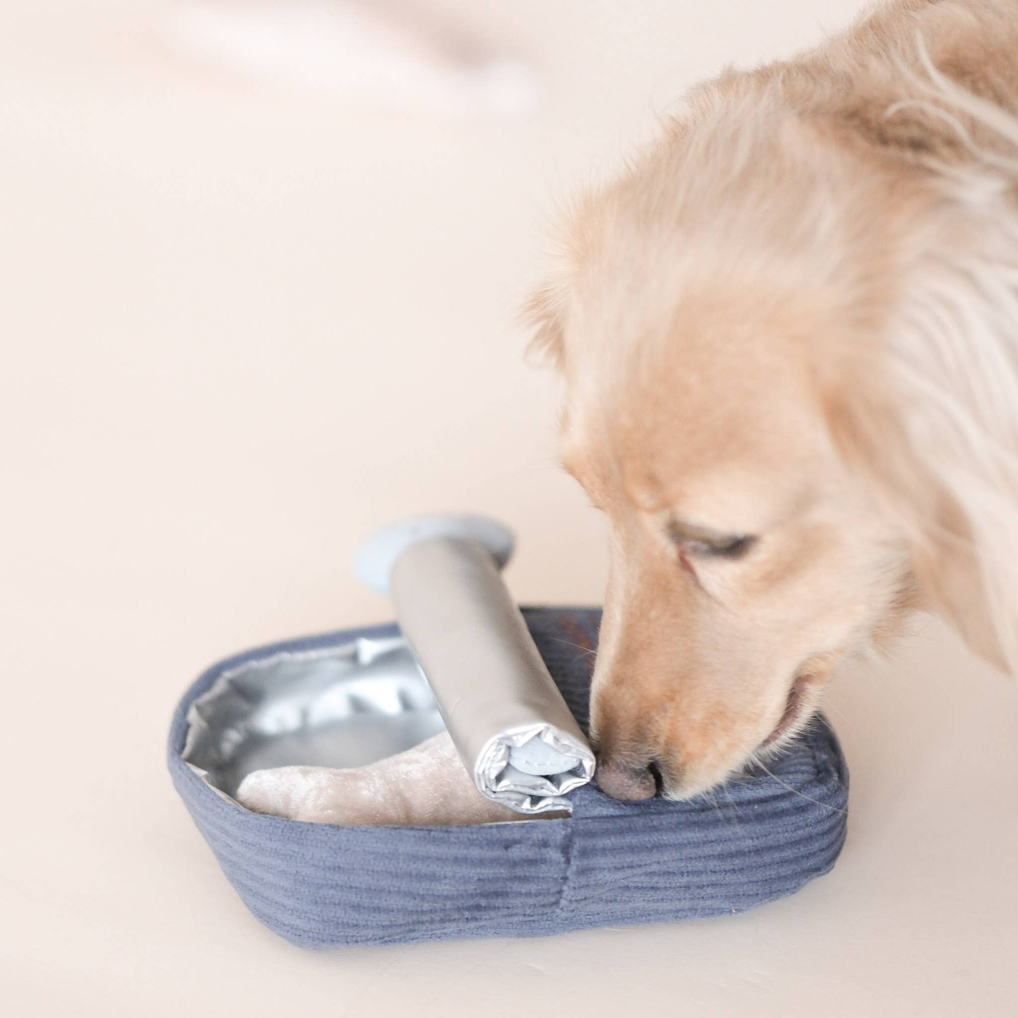 SARDINE // GIOCATTOLO DI ARRICCHIMENTO PER CANI // Giocattolo con squeaker + snuffle
