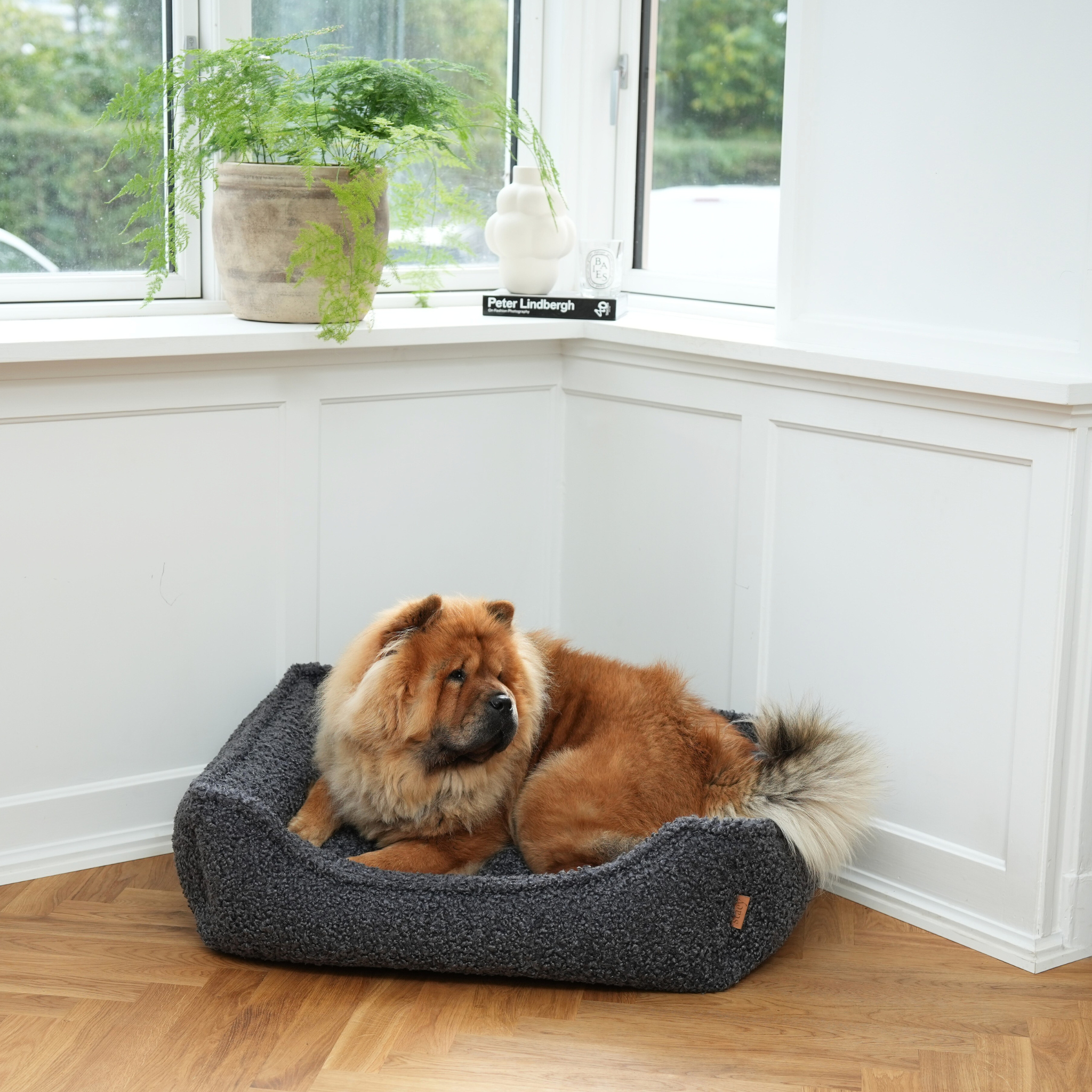 Cuccia per cani Tora di Staey | Tessuto riccio Storm: X-Large