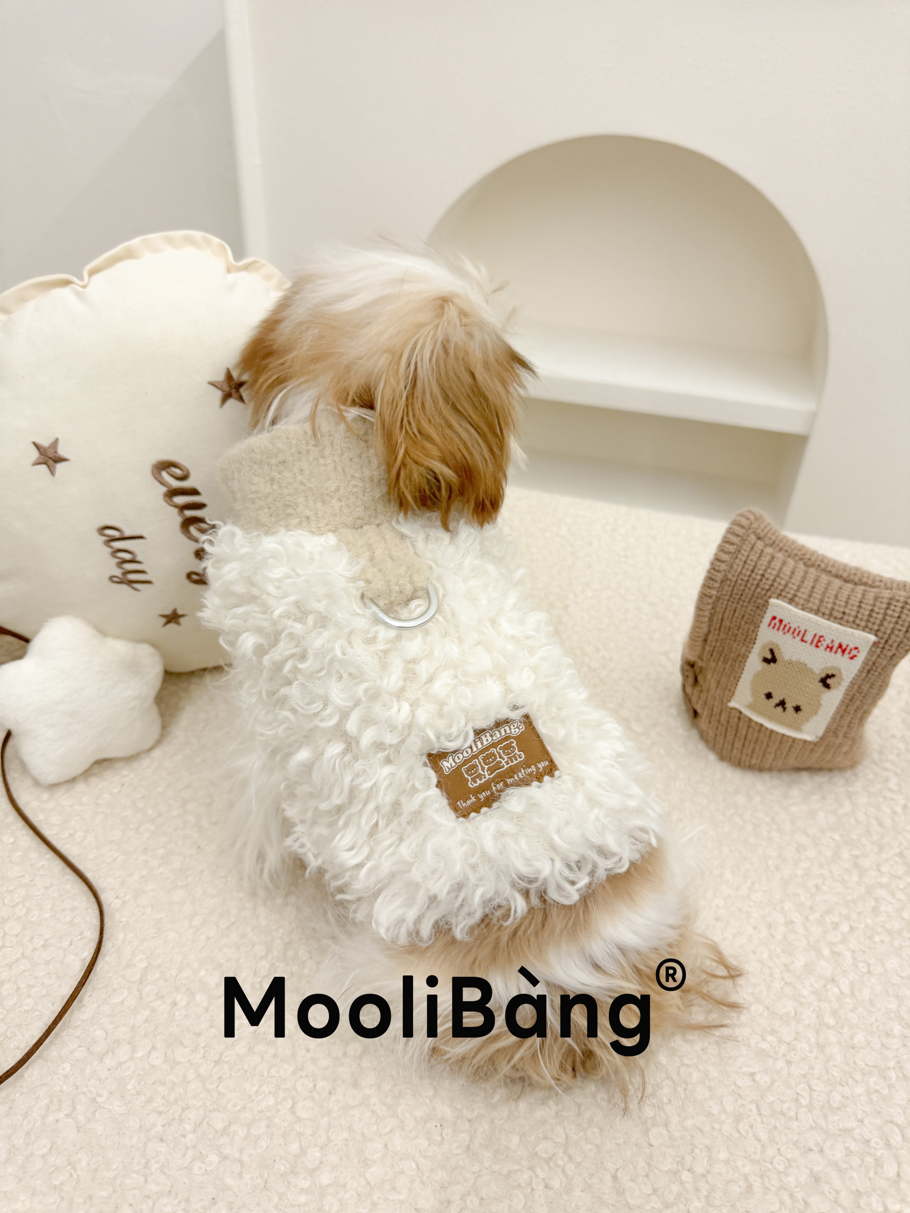 Gilet Invernale per Cani “Soft Lamb”