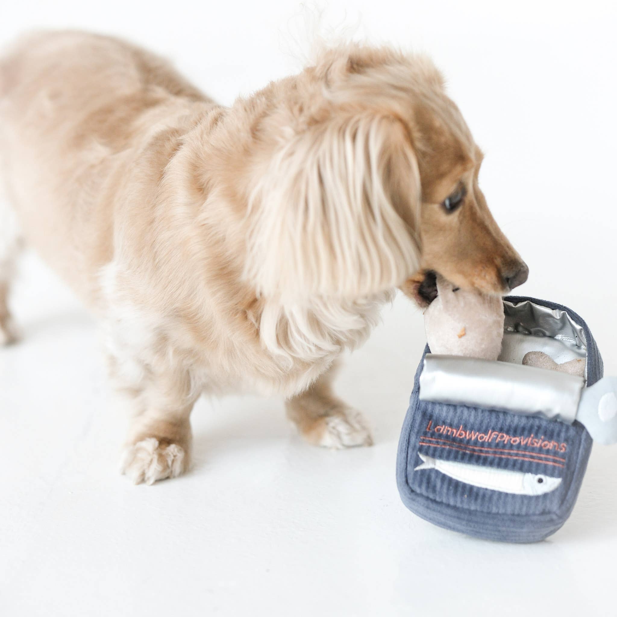 SARDINE // GIOCATTOLO DI ARRICCHIMENTO PER CANI // Giocattolo con squeaker + snuffle
