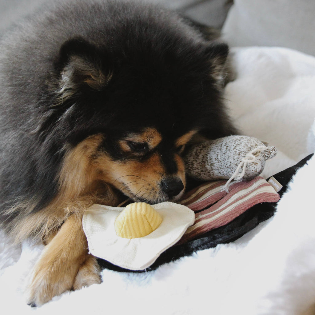 Bfast Set //GIOCATTOLO PER CANI ARRICCHENTE