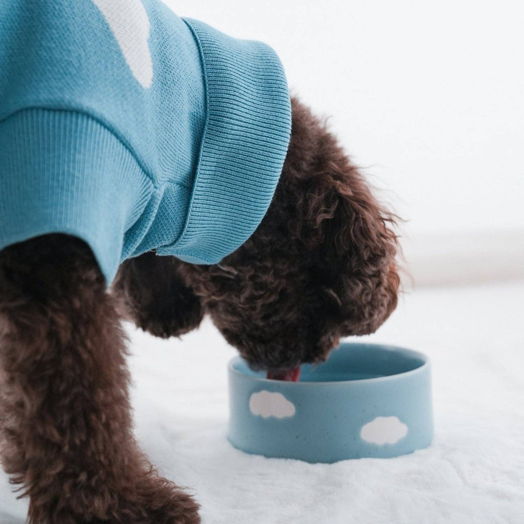 Set of 2 Cloud Pet Bowls 14 cm