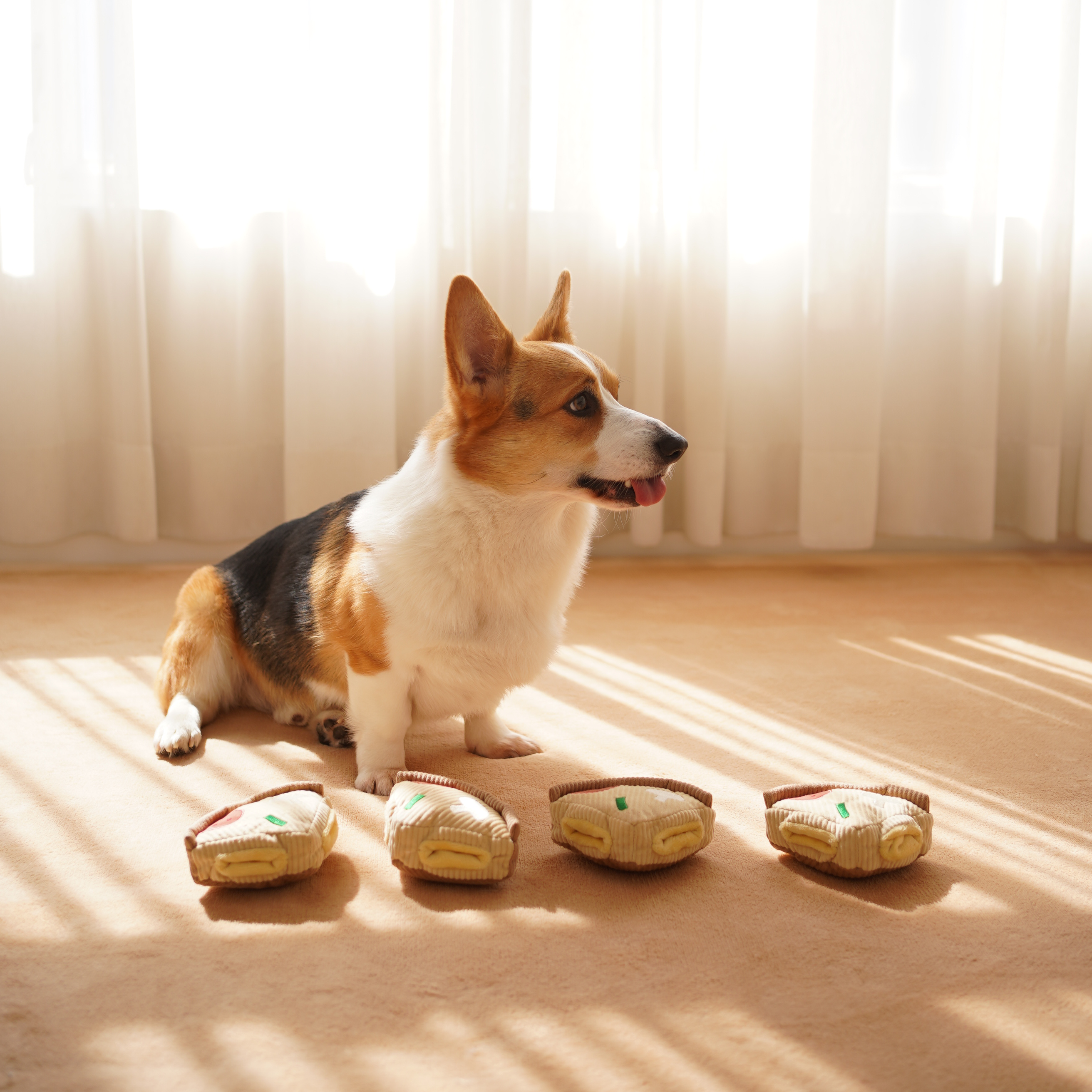 Gioco per cani 'Deep Dish Pizza' per arricchimento