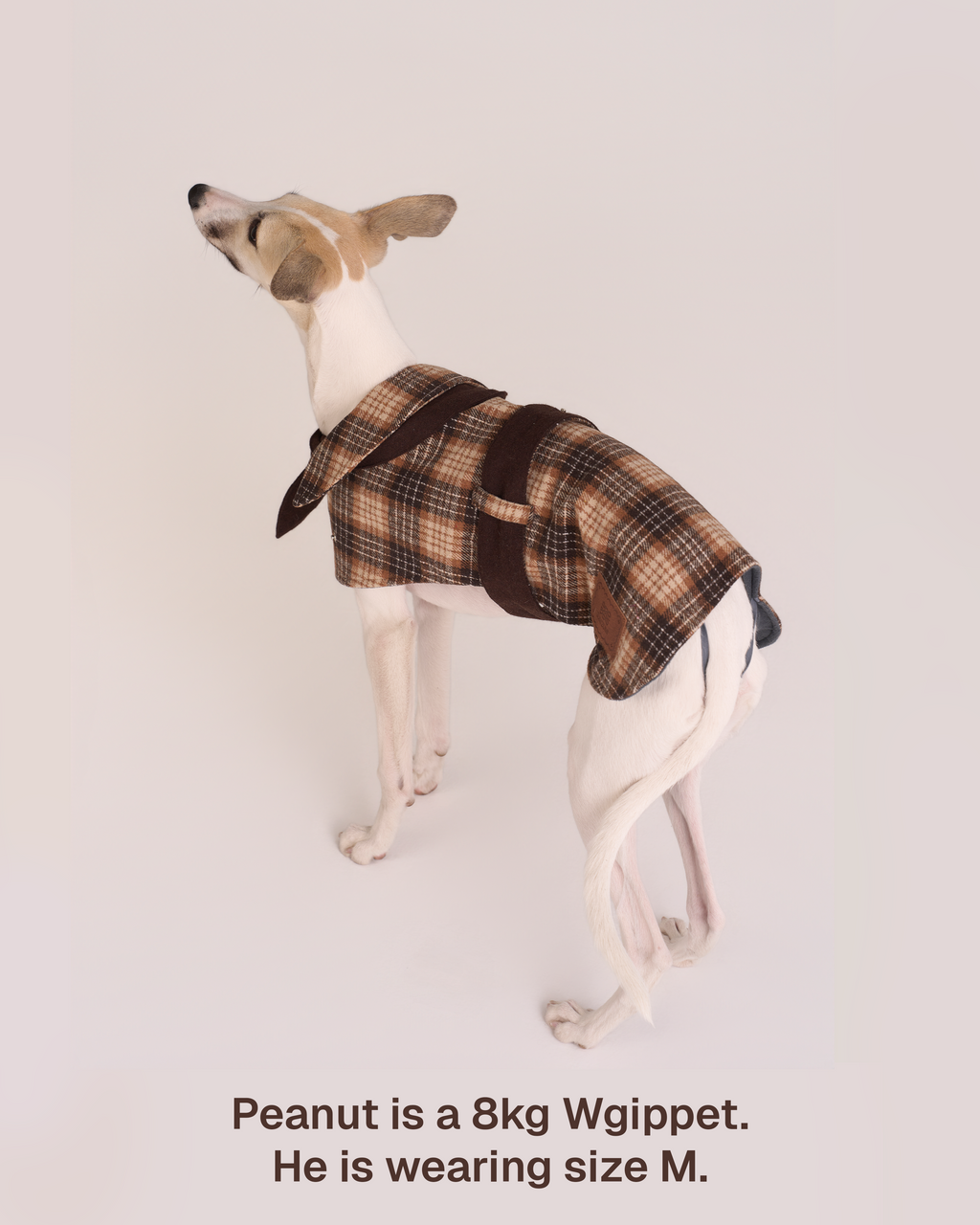 Mantella per Cani Sherlock