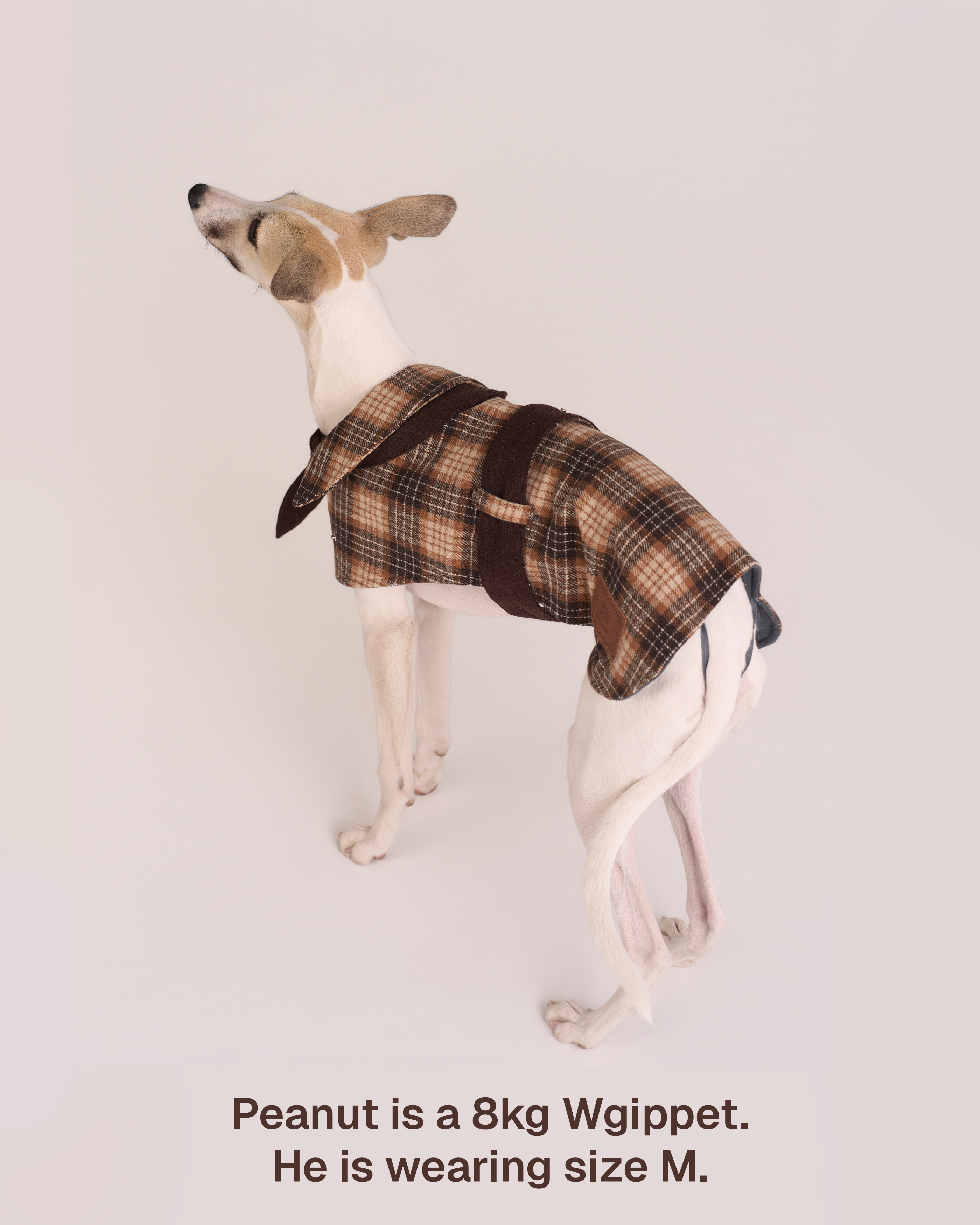 Mantella per Cani Sherlock
