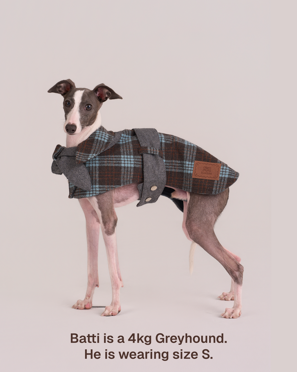 Mantella per Cani Sherlock