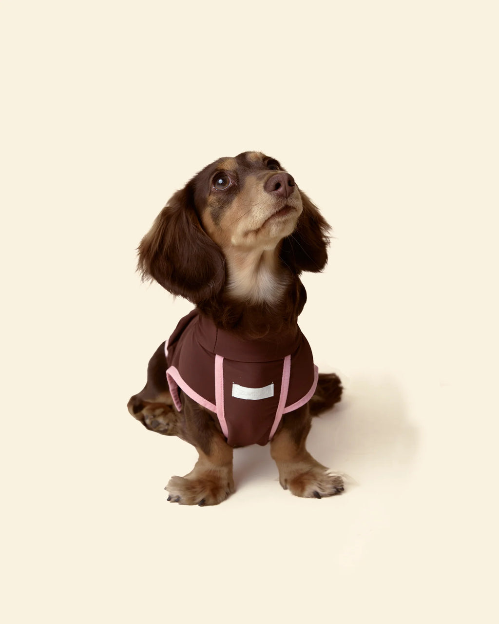 T-shirt Rinfrescante per Cani con Protezione Solare（Preordine con spedizione entro il 14 giugno）